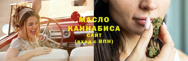 метадон Богданович