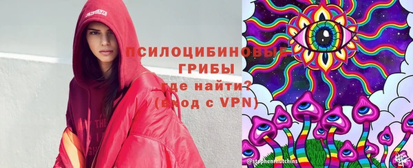трава Богородицк